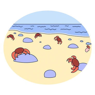 A sandy beach with a variety of small rocks scattered across the surface. Several crabs with brown shells are scuttling over the rocks and along the sand. The crabs are in different poses, some climbing over a rock while others dig into the sand. In the background, gentle waves are lapping at the shore, and a clear blue sky is visible above.