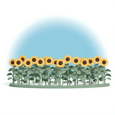 A wide view of a field filled with tall sunflowers, their vibrant yellow petals facing the sun. Each sunflower stands tall with dark brown centers surrounded by numerous green leaves. The sky above is a deep clear blue, devoid of any clouds, creating a bright backdrop for the sunflowers. The field stretches far into the horizon, with a gentle green grass border at the edges. The sunlight casts soft shadows on the ground, enhancing the brightness of the scene.