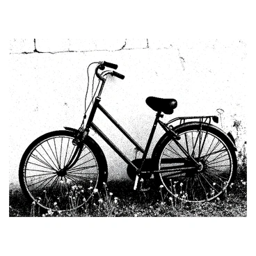 An old bicycle with a rusted frame is leaning against a crumbling wall covered in peeling paint. The wall shows signs of age, with cracks running through its surface. The bicycle has a worn-out seat and a vintage design, with one of the tires slightly flat. Surrounding the bicycle, there are wildflowers in various stages of bloom, with delicate petals unfolding. The flowers have different shapes and sizes, adding a natural, untamed look to the scene. The ground is uneven and scattered with small patches of grass and soil.