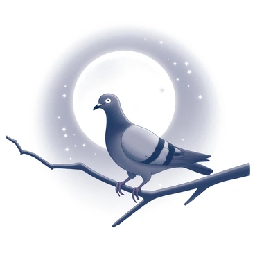 Pigeon