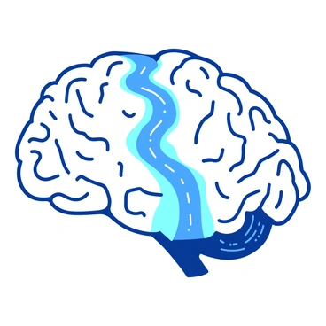 A river flowing through the middle of a brain, dividing it into logical and creative sides