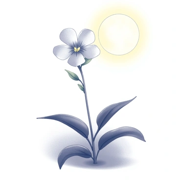 A single evening primrose flower is blooming, displaying its delicate, wide petals fully opened. The flower sits atop a slender green stem, surrounded by dark green leaves that accentuate its form. The scene is illuminated by soft moonlight, casting gentle shadows and creating a tranquil ambiance. The background is softly blurred, enhancing the focus on the evening primrose as it stands in serene solitude beneath the glowing moon.