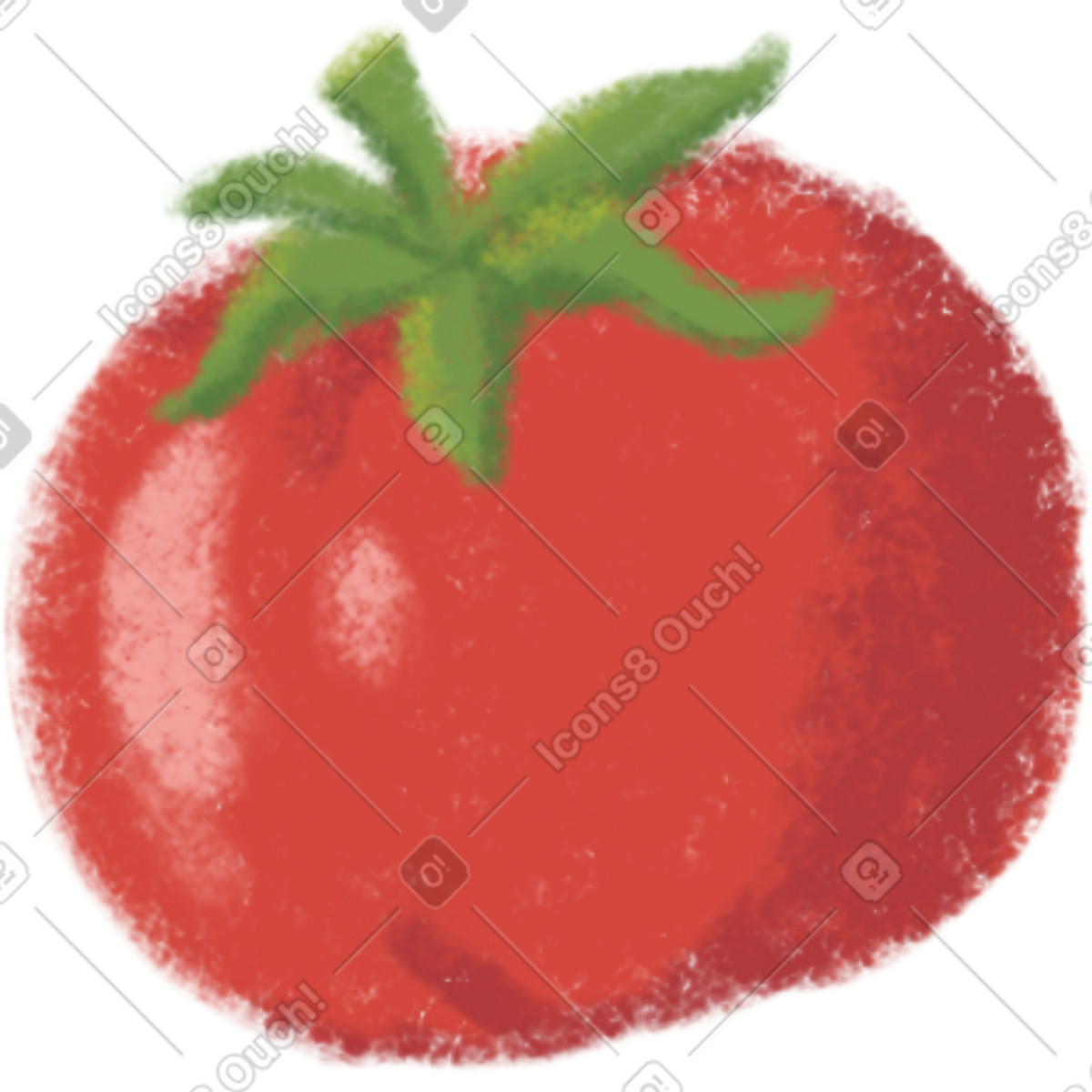 Toscana 스타일의 Tomato 일러스트레이션 PNG, SVG 다운로드