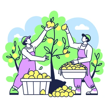 A group of farmers is harvesting lemons from a tree in an orchard. One farmer is reaching up to pluck a ripe lemon from a branch while another farmer stands below, holding a large basket filled with bright yellow lemons. The basket is overflowing with the fruit, and additional lemons are scattered on the ground. In the background, there are more lemon trees bearing fruit and greenery, along with the blue sky above. The sunlight is filtering through the leaves, casting dappled shadows on the ground.