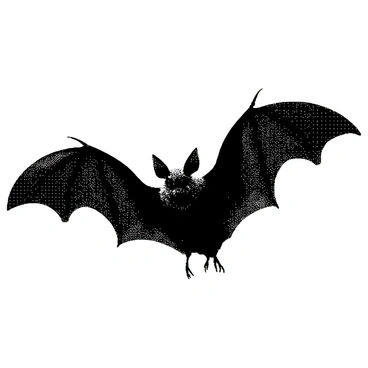 A bat is depicted with its wings spread wide, showcasing the detailed texture of its skin and the intricate pattern of its wings. The bat's body is streamlined and elongated; its eyes are large and expressive. There are sharp claws visible on its feet, gripping an invisible surface. The background is minimal, emphasizing the bat’s form and creating a striking contrast, while the overall composition focuses on the dynamic pose of the bat in flight.