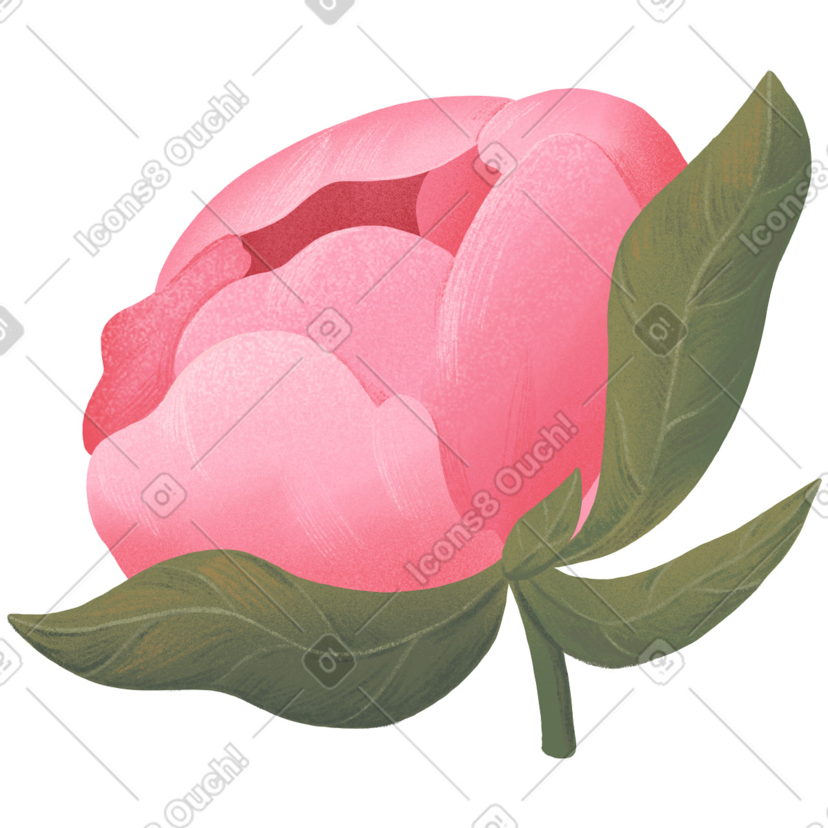Rosa halbgeschlossene pfingstrose mit blättern-Illustration im Floral-Stil als Download in PNG, SVG