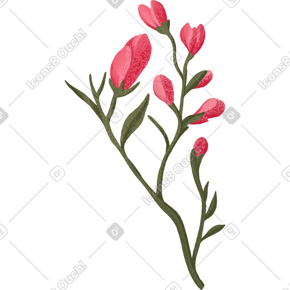 Rose buds on branches illustration in Floral style download in PNG, SVG