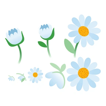 A close-up illustration of a daisy bud, still tightly closed, surrounded by green leaves. Next, the illustration shows the daisy transitioning with the petals starting to unfurl, revealing a hint of white. Following that, the daisy is depicted further along in its growth, with more petals opened and the center showing bright yellow florets. Finally, the illustration presents a fully bloomed daisy, showcasing its vibrant white petals fully fanned out and the yellow center radiating in the sunlight. The background consists of soft green tones, enhancing the focus on the daisy's growth stages.