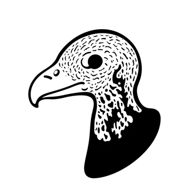 A close-up of a turkey vulture's head highlighting its "red head" and "sharp beak." The texture of the skin on the head is visible, showing wrinkles and patterns. The beak is pointed and well-defined, positioned prominently in the center. The background is softly blurred to emphasize the vulture's features without drawing attention away from them.