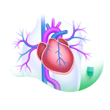 A detailed illustration of the human circulatory system featuring a wide view of the heart at the center. The heart is depicted in red and blue, showing the distinction between oxygenated and deoxygenated blood. Surrounding the heart are various arteries, colored in vibrant red, branching out towards the upper and lower body. Blue veins are illustrated returning towards the heart, connecting to the major limbs and organs. The background includes a light, subtle gradient to enhance the visibility of the circulatory components.