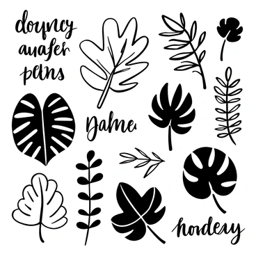 A detailed illustration of various tropical leaves arranged artistically. The leaves include monstera, palm, and fern varieties, each with distinct shapes. Scientific annotations in elegant calligraphy surround the leaves, labeling each type and providing additional information about their characteristics. The composition is intricate and well-balanced, showcasing the lush forms of the leaves alongside the graceful script.
