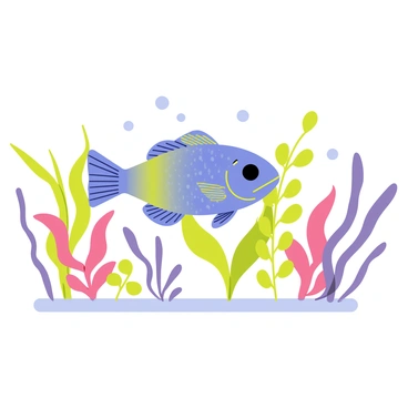 Bluegill