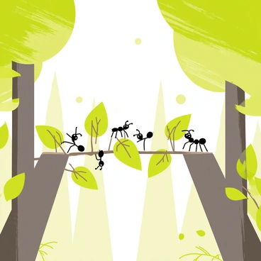 A group of small black ants working together to construct a bridge using green leaves and thin twigs over a gap in a dense forest. The ants are seen carrying the leaves, some are climbing onto the twigs, while others are positioned at the edges of the gap. The forest features tall trees with vibrant green foliage in the background, and dappled sunlight filtering through the leaves above, illuminating the scene. A few fallen leaves and scattered twigs cover the ground near the ants, adding to the forest ambiance.