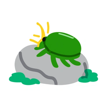 A green Hercules beetle with prominent horns is resting on a smooth gray rock. The rock has a polished texture, and the sunlight creates a warm glow on its surface. The beetle's shiny exoskeleton reflects the sunlight, showcasing its vibrant colors. Surrounding the rock is a patch of soft green moss, adding a touch of nature to the scene. Small shadows are cast by the beetle and the rock as they bask in the sunlight.