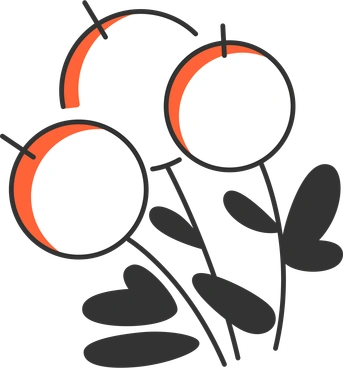 Berries PNG, SVG