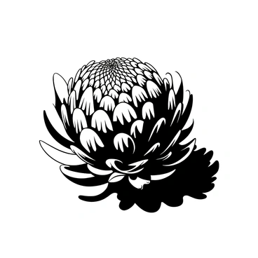 An artichoke placed on a sunlit surface, displaying intricate details of its leaves and contours. The artichoke casts a complex shadow on the surface, showing various shapes and patterns created by the interplay of light. The contrast between the light and shadow enhances the texture of the artichoke and the surface below.