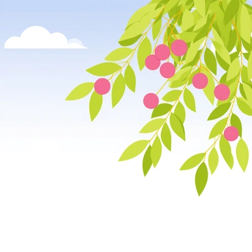 Lychee