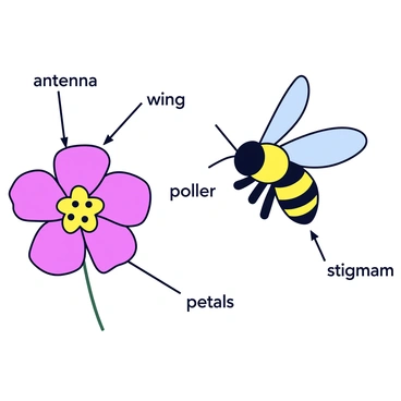 A detailed diagram showing a bee in the process of pollinating a flower. The bee is depicted with large, translucent wings and distinct black and yellow stripes. The flower is a bright pink blossom with open petals, showcasing its central pollen-rich stamen. Lines are drawn from the bee and flower to various labels, identifying parts such as "antenna," "wings," "pollen," "petals," and "stigma." The background is a simple light color to emphasize the diagram elements.