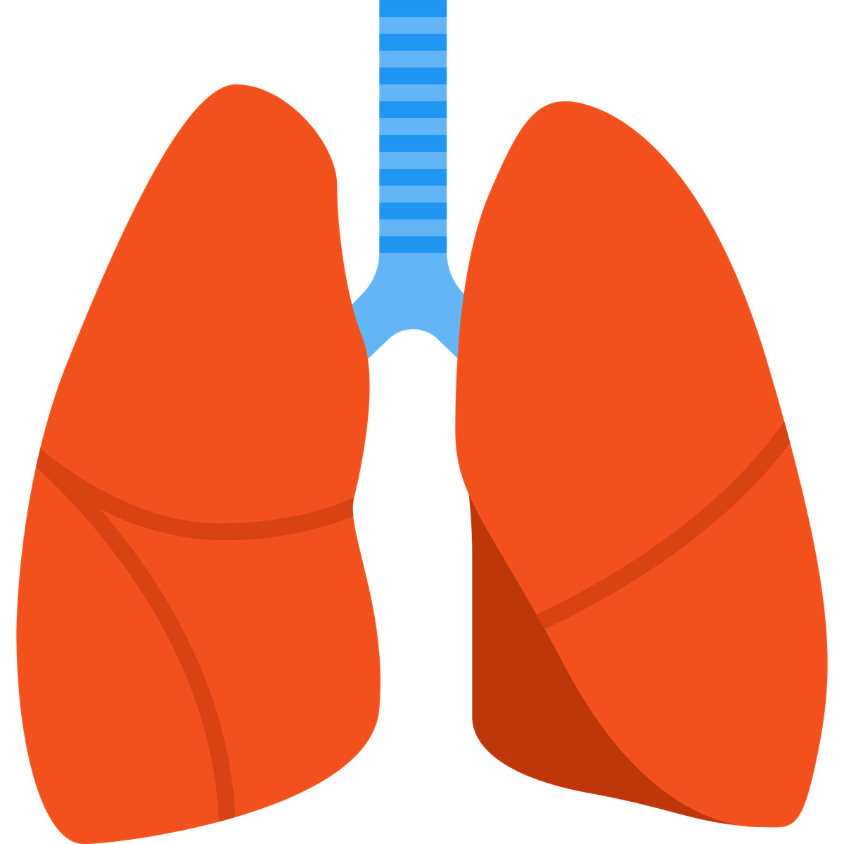 Lungs illustrazione in stile Fogg scarica in PNG, SVG