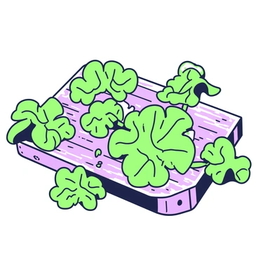 A collection of crinkled leaves in various shapes and sizes is scattered across a rustic wooden table. The leaves display intricate details of their veins and textures. Some leaves are curled at the edges, while others lie flat against the surface. The wooden table has visible knots and a weathered appearance, enhancing the natural aesthetic of the scene. Light casts subtle shadows from the leaves, creating a sense of depth and dimension.