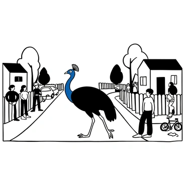 A cassowary walking along a suburban street, with its tall, striking body and blue skin contrasting against the white picket fences of nearby houses. There are several onlookers, a mix of adults and children, standing on the sidewalks with expressions of surprise and curiosity. The cassowary's long legs stride confidently past parked cars, and a few trees lining the street provide a natural backdrop. A bicycle leans against one of the fences, and a dog watches from a yard, adding to the scene's lively atmosphere.