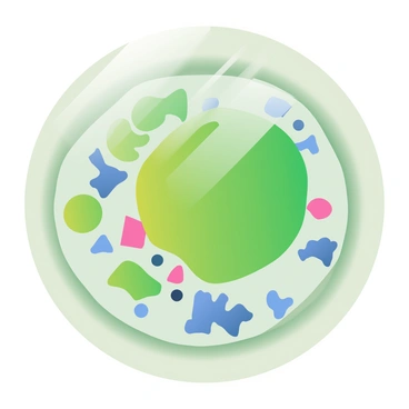 A close-up view of a plant cell's chloroplast is displayed. The chloroplast is shown in vivid shades of green, revealing its inner structures, including thylakoids and stroma. Within the chloroplast, numerous small fragments of microplastics are interspersed, appearing as tiny blue and pink particles among the green organelles. The edges of the chloroplast are clearly defined, and the surrounding plant cell membrane is visible, showcasing the contrast between the green chloroplast and the light beige cell wall. The overall image captures the intricate details of the chloroplast, highlighting the presence of microplastics within its structure.