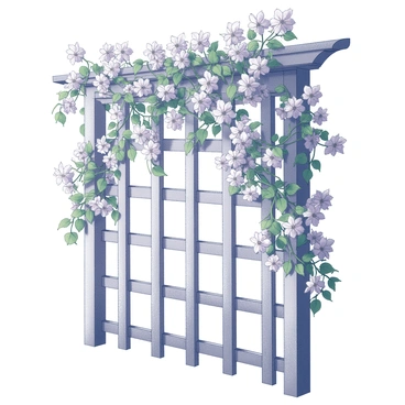 Bougainvillea