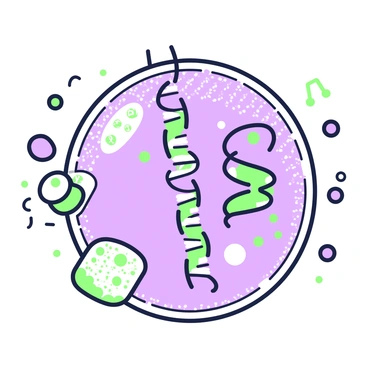 An illustration showing the process of mRNA being transcribed from DNA within a cell nucleus. In the center, there is a double helix structure representing the DNA, with strands visibly unwinding. The mRNA strand is depicted emerging from one of the DNA strands, with nucleotide sequences appearing along its length. Surrounding the nucleus, there are various cellular components, such as ribosomes and chromatin, depicted in a simplified manner. The background features a textured surface of the nucleus, emphasizing its structure.