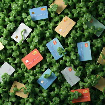 A tangled jungle filled with an assortment of credit cards in various colors and designs. The credit cards are interlaced with green vines that wrap around them, creating a dense and chaotic composition. Some cards are partially buried under the thick foliage, while others are prominently displayed, catching glimpses of light. The vines have a natural, leafy appearance, adding to the wildness of the scene, with some small leaves sprouting from the vines. The overall effect is a vibrant and cluttered environment that merges financial elements with the untamed aspects of nature.