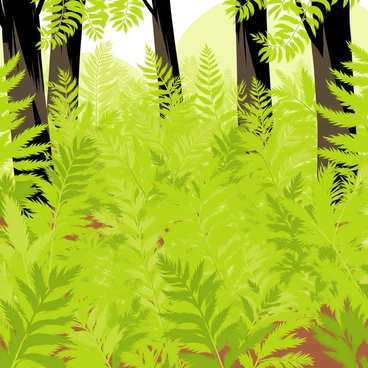 A dense carpet of green ferns covers the forest floor, creating a vibrant texture. Towering trees with thick trunks rise above, their leafy canopies filtering sunlight. The ferns vary in size, some with broad fronds and others with slender leaves. There are patches of rich brown soil visible between the ferns, and the light casts dappled shadows, enhancing the lush greenery.
