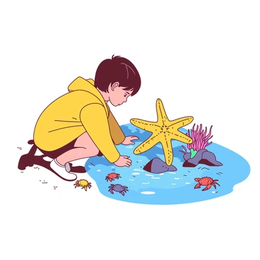 A child exploring a tide pool with starfish, crabs, and sea anemones