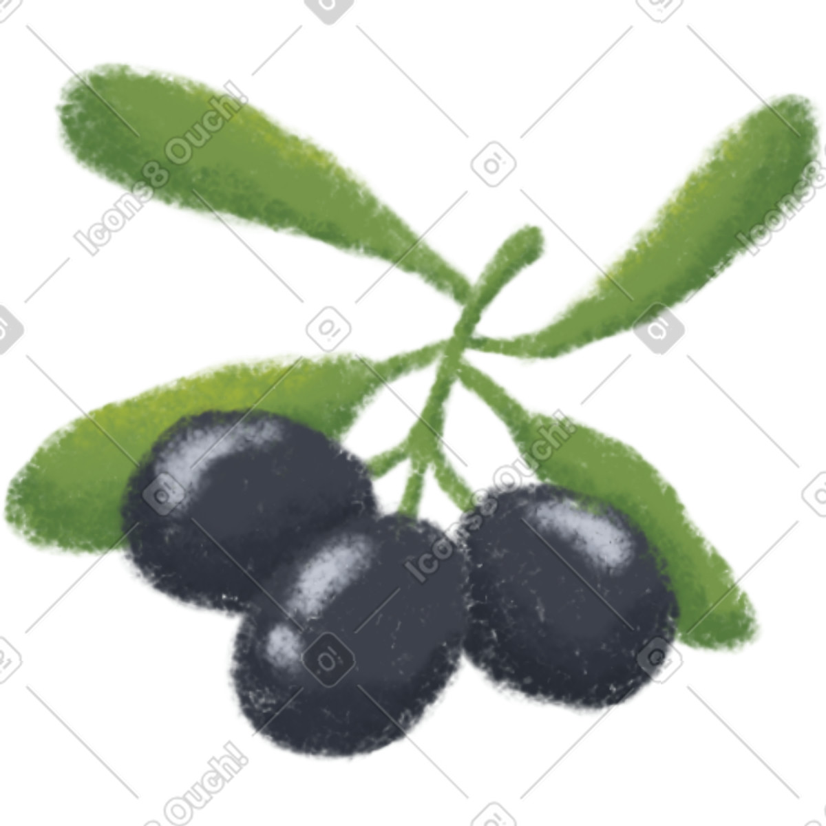 Black olive-Illustration im Toscana-Stil als Download in PNG, SVG