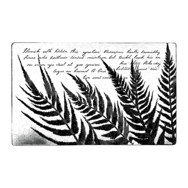 An old postcard is displayed flat on a surface, showcasing an artistic illustration of ferns across the background. The ferns have intricate details, capturing their delicate fronds and textures. Handwritten notes are scattered across the postcard in varying sizes and styles, adding an element of personal touch. The edges of the postcard are slightly worn, hinting at its age and history. Shadows cast on the postcard emphasize its flatness and the layered composition of the ferns and notes.