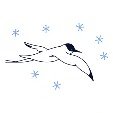 An arctic tern is shown in mid-flight, with its wings fully extended. The bird has a white body with a black cap on its head and a long, slender tail. Gently falling snowflakes surround the tern, each flake depicted as a delicate, simple star shape. The background is a soft white, enhancing the visual of the snowy scene. The overall composition emphasizes the tern's graceful movement through the tranquil winter setting.