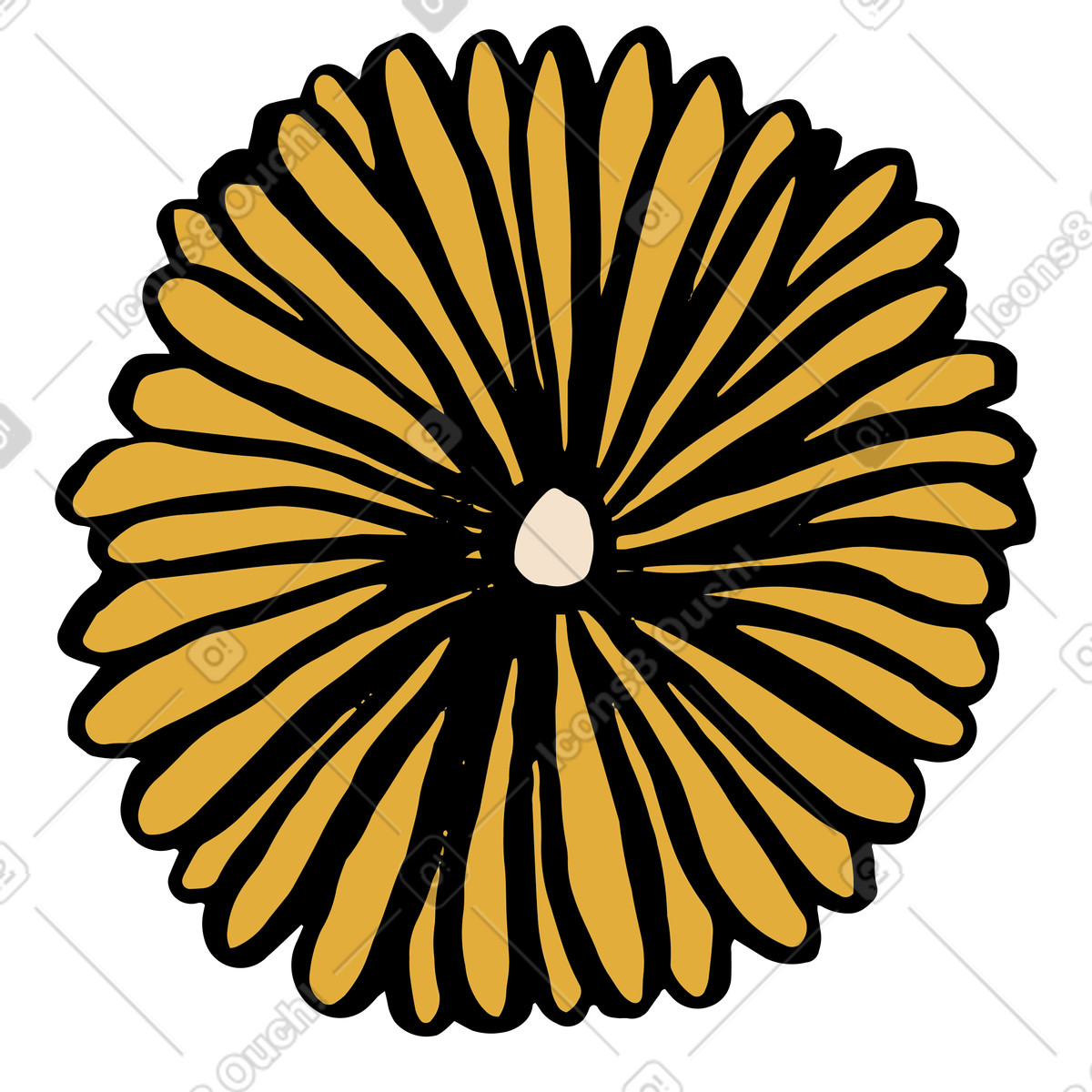 Ilustração de Yellow calendula flower em no estilo Scandi para baixar em PNG, SVG
