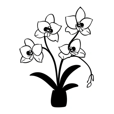 A delicate arrangement of blooming orchids in shades of pink and purple.
