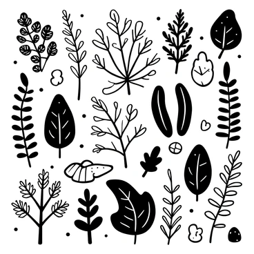 A detailed black-and-white illustration featuring various types of ferns native to a specific region. The composition includes a variety of fern shapes and sizes, showcasing their distinct fronds and leaf patterns. Some ferns are displayed in clusters, while others stand alone, highlighting their unique characteristics. The background contains subtle textures representing the forest floor, with rocks and fallen leaves interspersed among the ferns. Each fern is labeled with its name in elegant script.