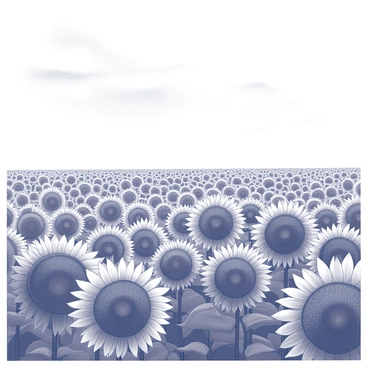 A vast field filled with sunflowers in full bloom. The sunflowers stand tall, their large round heads facing upward, showcasing their intricate details. The sky above is bright and clear, with wispy clouds gently scattered. The scene captures the expansive rows of sunflowers stretching towards the horizon, emphasizing their vibrant shapes and textures against the backdrop of the sky.
