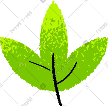 Leaf PNG, SVG