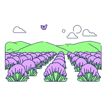 A lavender field stretches into the distance, with rows of lavender plants neatly organized. The plants are in full bloom, displaying their characteristic shapes, while a few butterflies can be seen fluttering above them. Above the field, there is a clear sky, featuring a few fluffy clouds scattered throughout. In the far background, there are distant rolling hills that provide depth to the landscape. The sun is positioned to cast gentle shadows across the lavender plants, enhancing their texture.