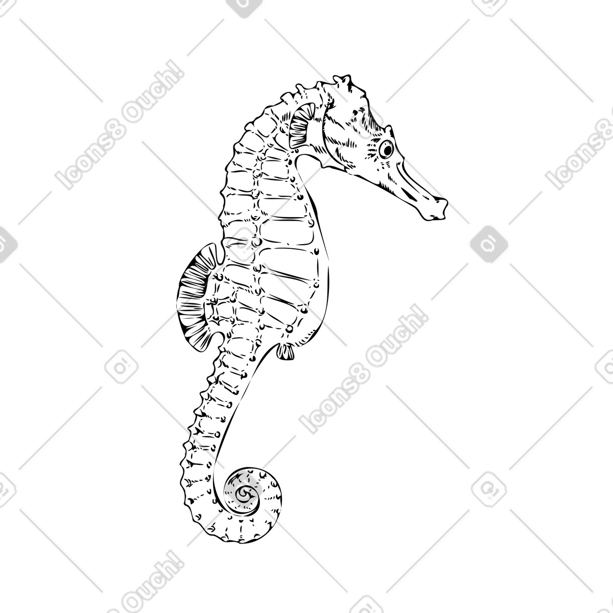 Experimental スタイルの タツノオトシゴ のイラストをPNG、SVG形式でダウンロード