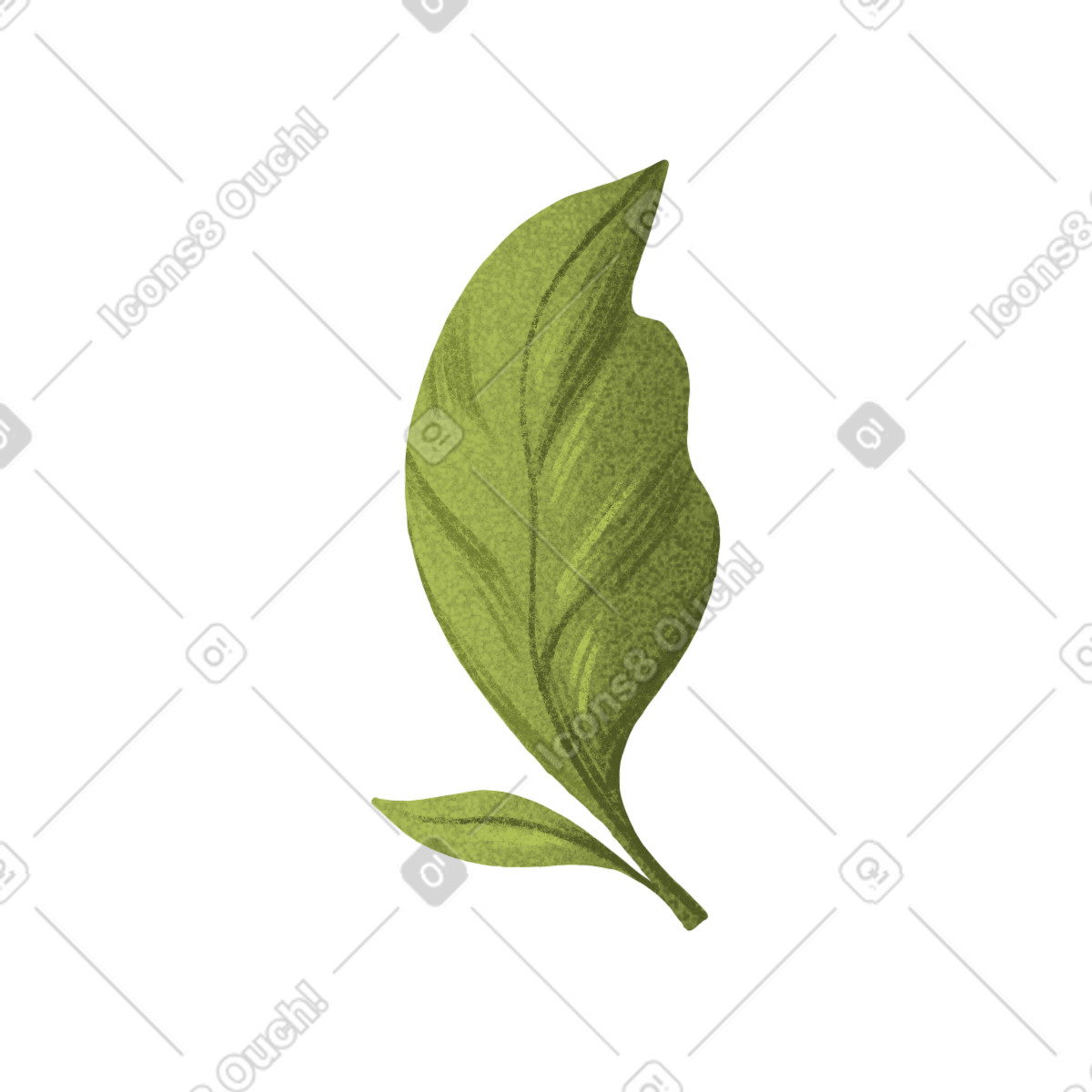 Large and small green leaf-Illustration im Floral-Stil als Download in PNG, SVG