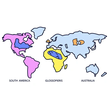 Continental drift