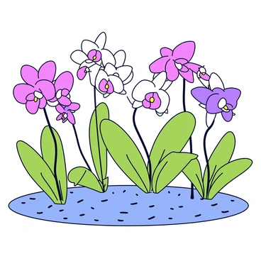 A grove filled with several orchids in bloom, showcasing a variety of colors such as pink, purple, and white. The orchids have long, slender stems and delicate petals that cascade gracefully. The background features soft green foliage that enhances the vibrant colors of the flowers. The ground is carpeted with small, smooth stones, providing a natural setting for the orchids.