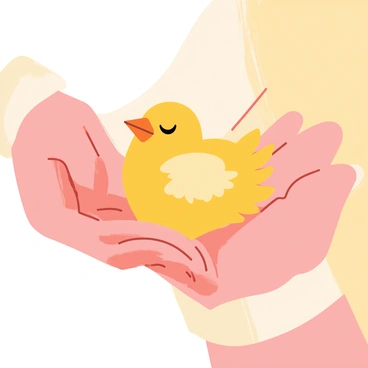 Two hands gently cradling a tiny, fluffy baby bird. The hands are slightly open, with delicate fingers supporting the bird's body. The baby bird has soft, downy feathers and bright, curious eyes. The scene is warm and inviting, with light reflecting off the gentle contours of the hands and the soft texture of the bird's feathers. The background is a subtle blur, emphasizing the tender interaction between the hands and the bird.