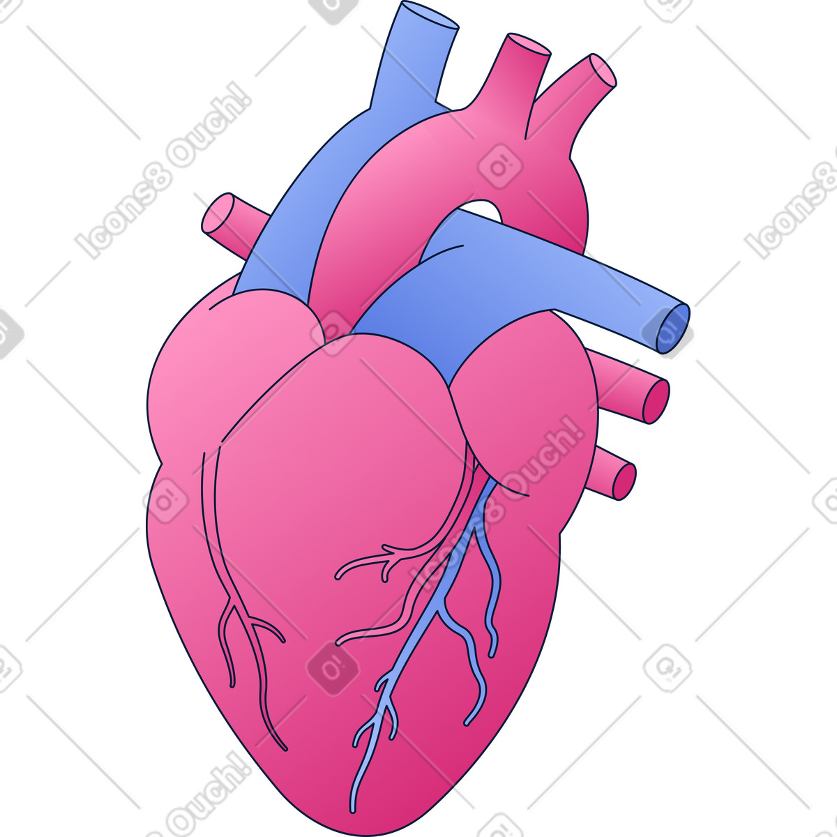 Cuore umano illustrazione in stile Neat scarica in PNG, SVG