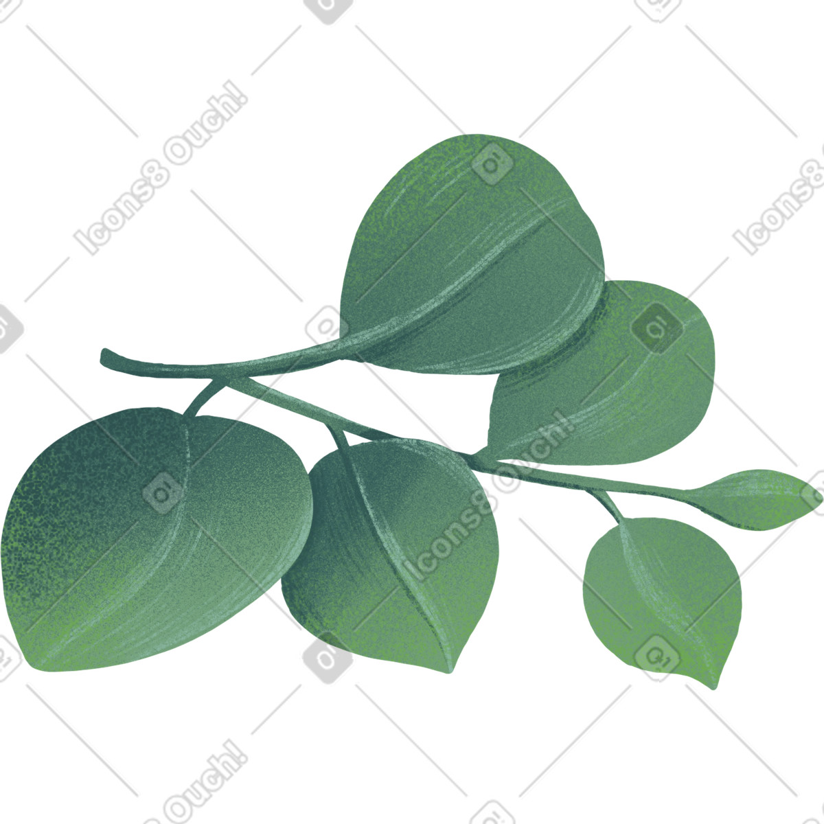 Piccolo ramoscello di foglie eucalipto illustrazione in stile Floral scarica in PNG, SVG