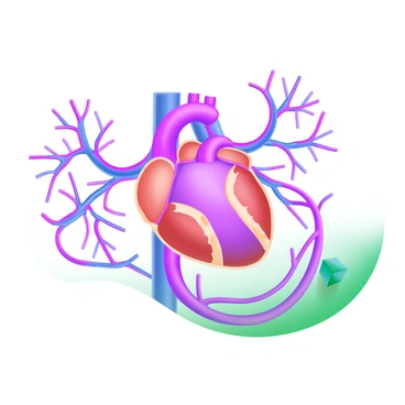 A detailed 3D visualization of the human circulatory system. The image prominently features a network of "veins" and "arteries" in vibrant red and blue colors, showcasing the flow of blood. The heart is placed centrally, depicted in a realistic manner with clear connections to the surrounding vessels. Each vein and artery branches out intricately, demonstrating the complex structure of the system. The background is a soft gradient to enhance the focus on the circulatory components.