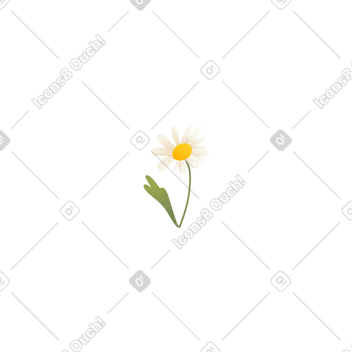 Ilustración Chamomile en estilo Lettering a descargar en PNG y SVG