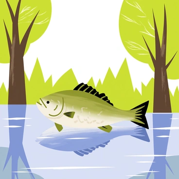 A largemouth bass with green and silver scales is swimming near the surface of a tranquil pond. The water is clear and shows the fish's streamlined body as it glides gracefully through the water. Tall trees with vibrant green leaves surround the pond, their reflections creating a mirrored effect on the water's surface. Sunlight filters through the branches, casting soft shadows and illuminating the scene.